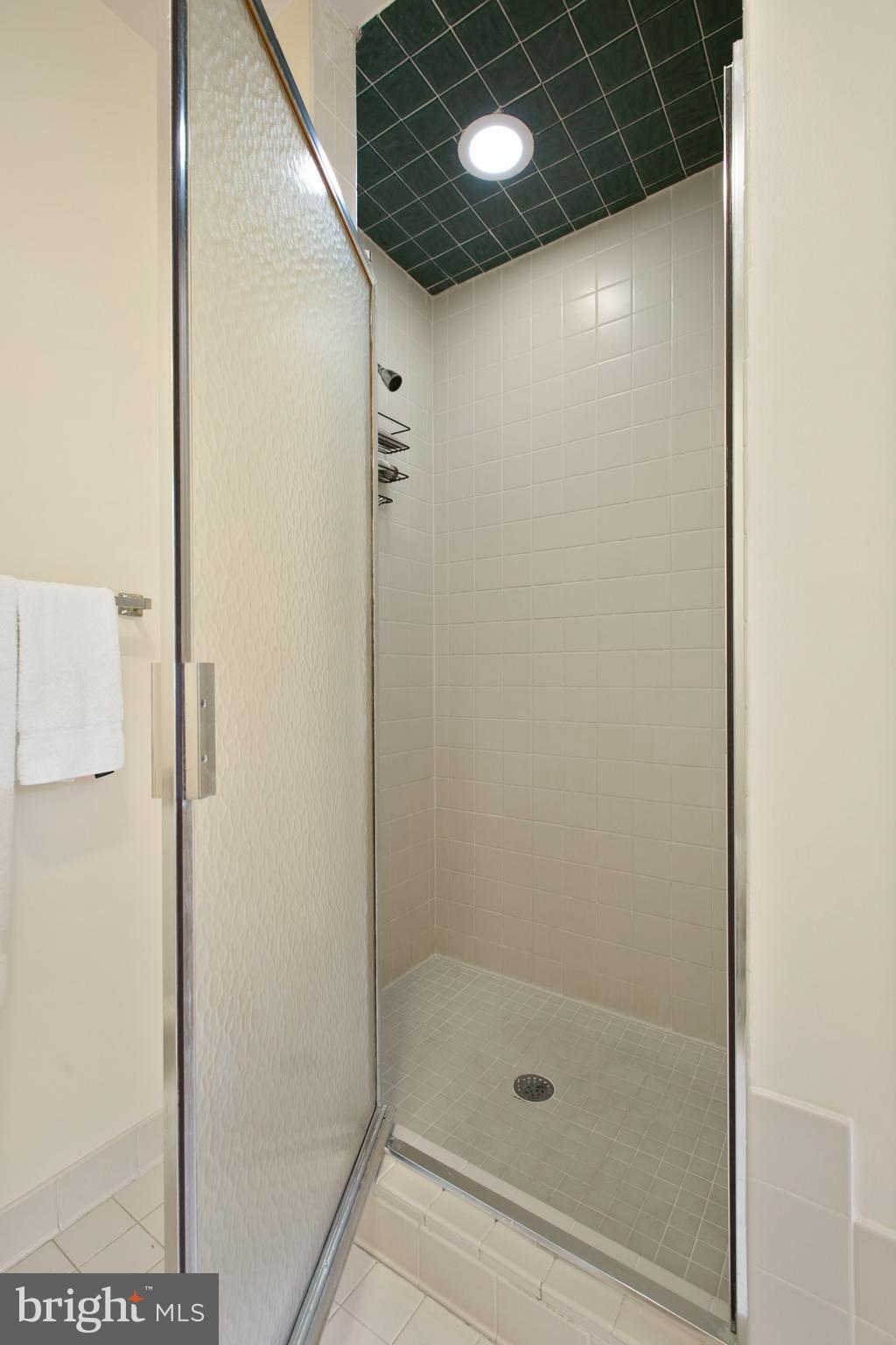 5814 Pimlico Road Baltimore, MD 21209 - Photo 27 of 58 Primary Bath with Separate Shower Stall