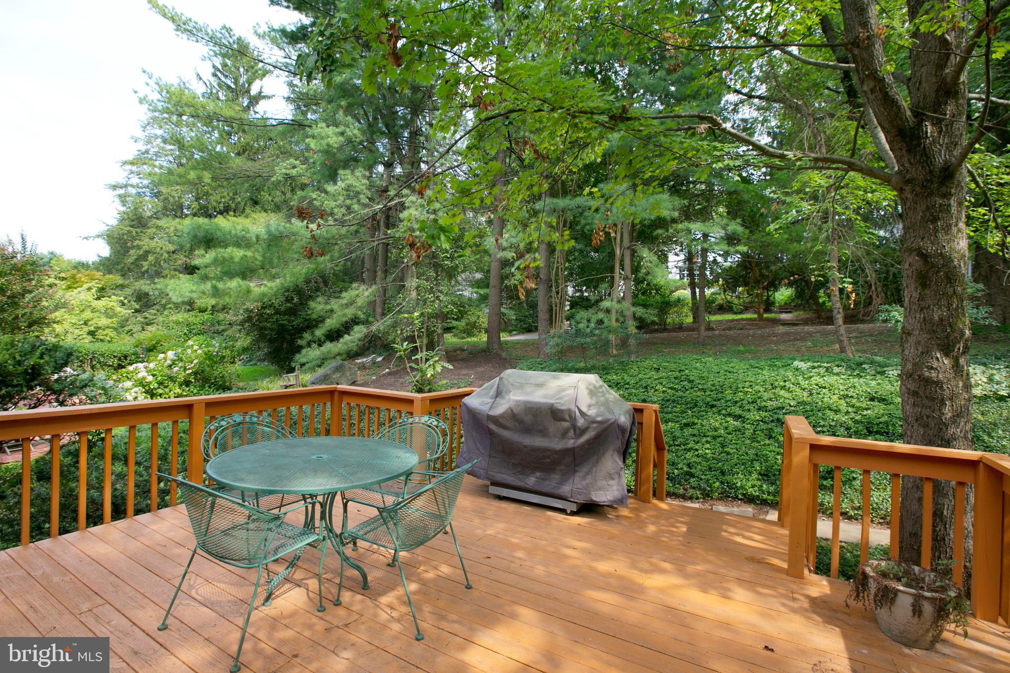 5814 Pimlico Road Baltimore, MD 21209 - Photo 55 of 58 Well Maintained Deck
