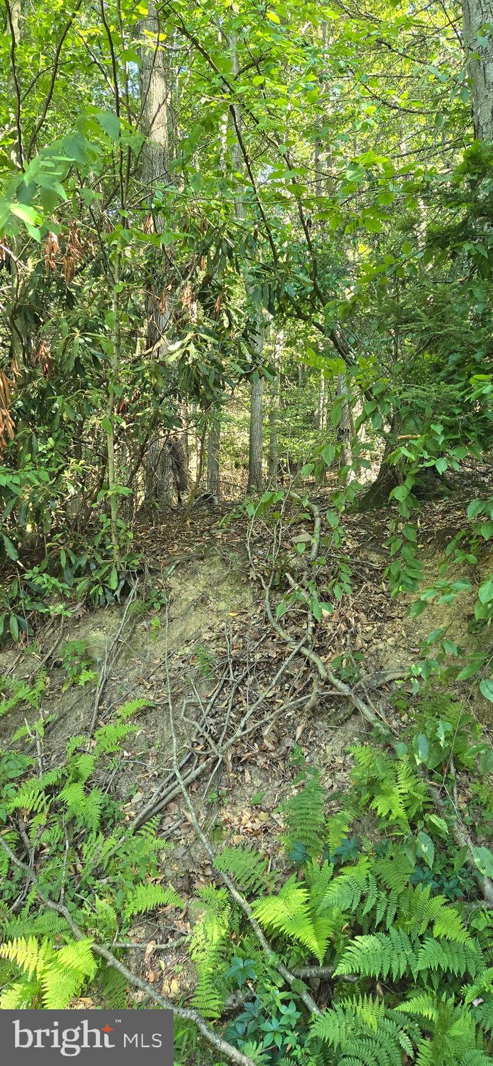 0 Ridge Road Cumbola, PA 17930 - Photo 2 of 7