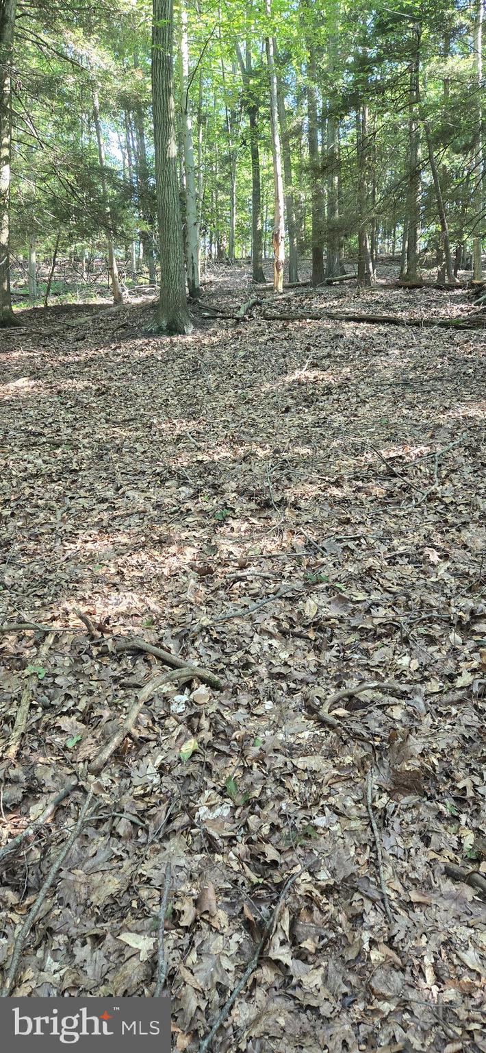 0 Ridge Road Cumbola, PA 17930 - Photo 3 of 7 a view of outdoor space with deck and tree