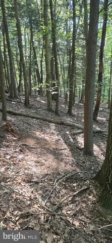 a large body of water with water fall