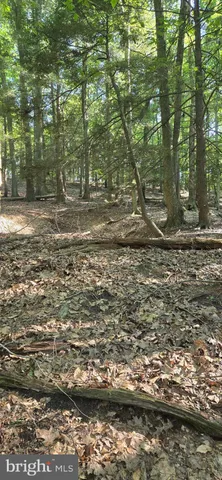 a view of a yard with yellow lighting