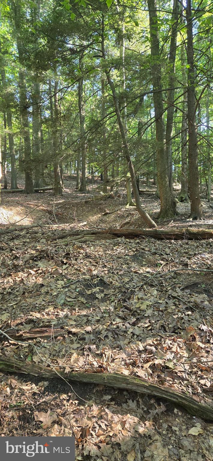 0 Ridge Road Cumbola, PA 17930 - Photo 5 of 7 a large body of water with water fall