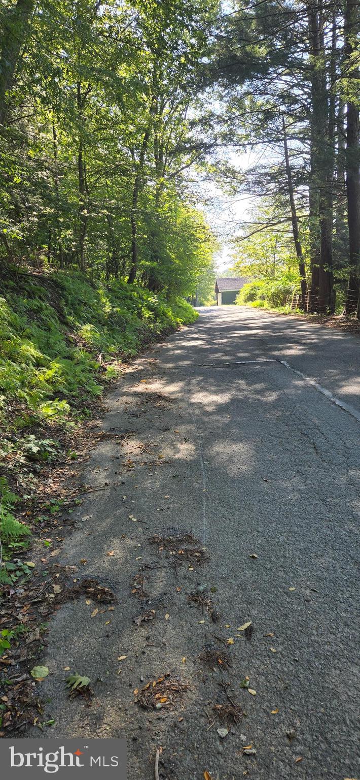 0 Ridge Road Cumbola, PA 17930 - Photo 6 of 7 a view of a yard with yellow lighting