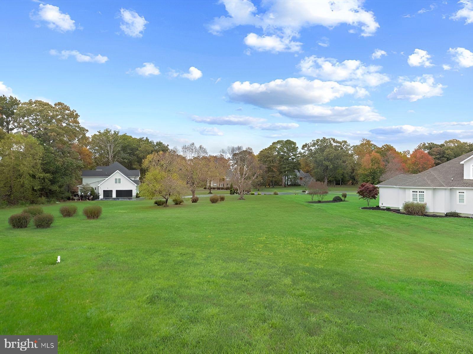 3236 Noble Farm Road Eden, MD 21822 - Photo 50 of 57 a view of a big yard with plants and large trees