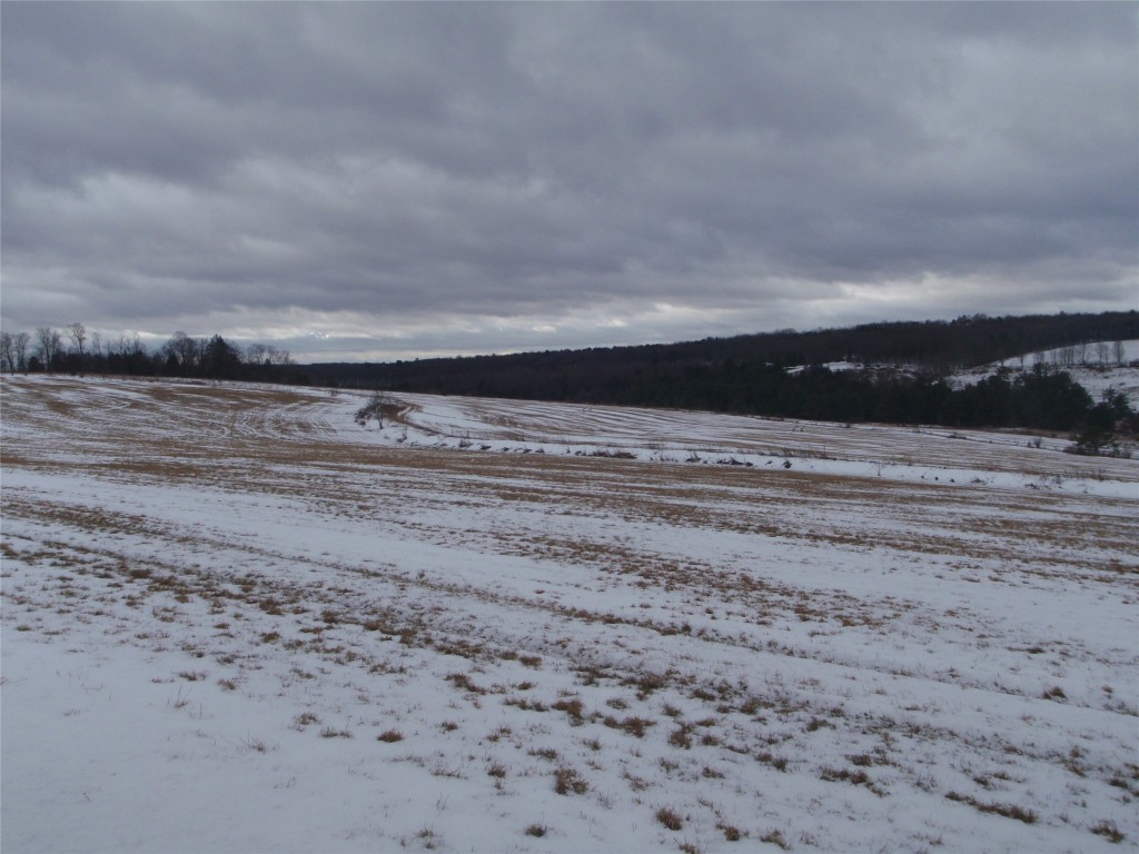 0 Arnold Road Lisle, NY 13797 - Photo 2 of 5 Gallery Image 2