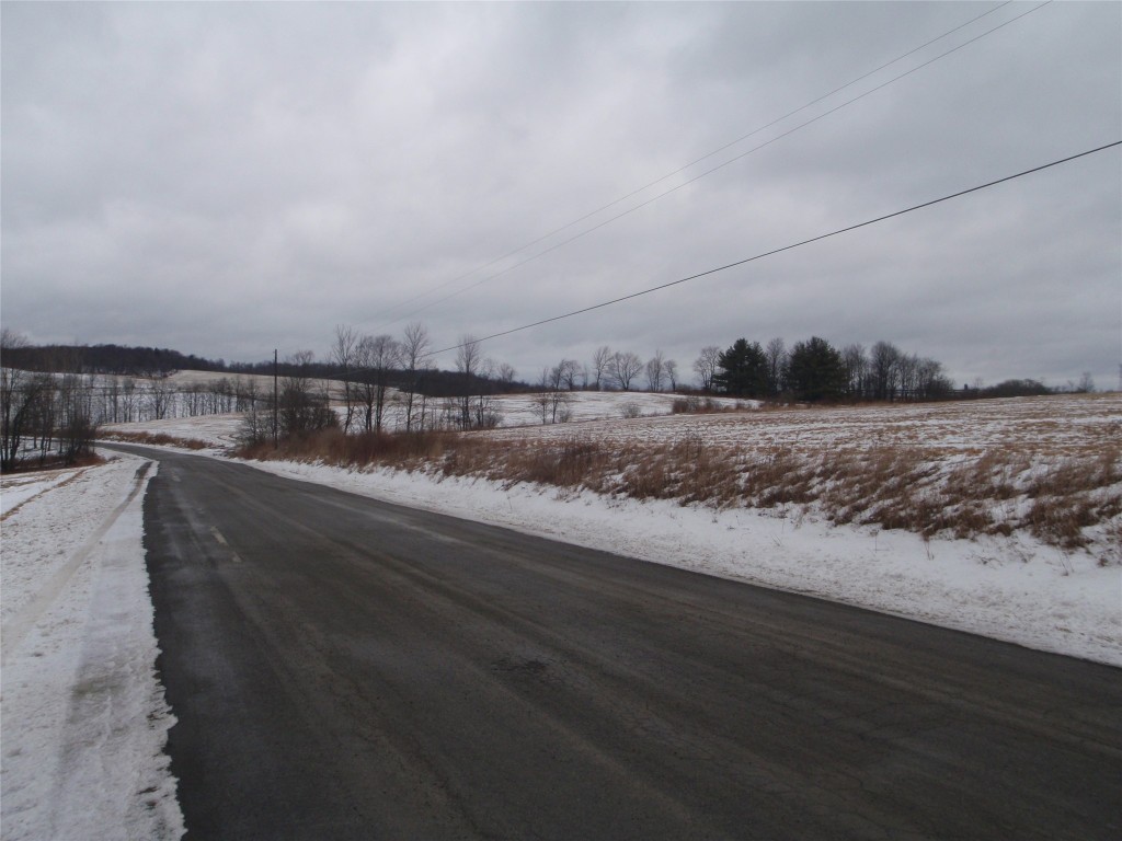 0 Arnold Road Lisle, NY 13797 - Photo 4 of 5 Gallery Image 4