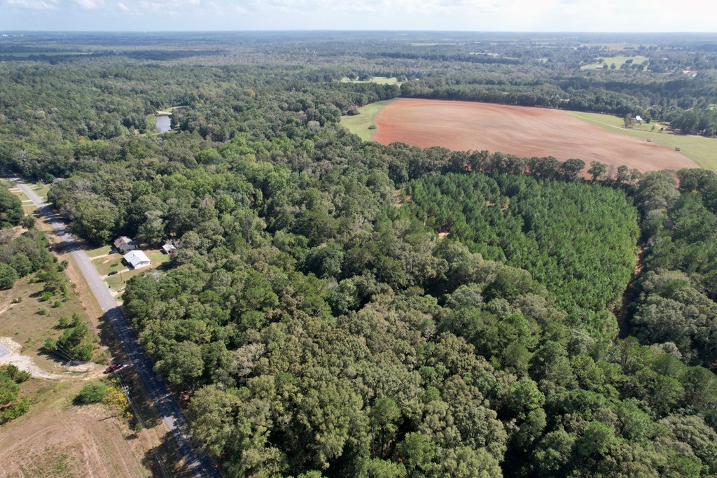 0 JB Chapman Road Midland City, AL 36350 - Photo 7 of 9