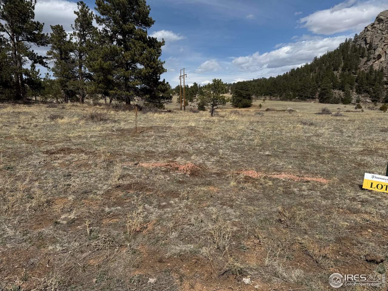 Shoshana Ranch Road Livermore, CO 80536 - Photo 11 of 16 a view of mountain view with trees