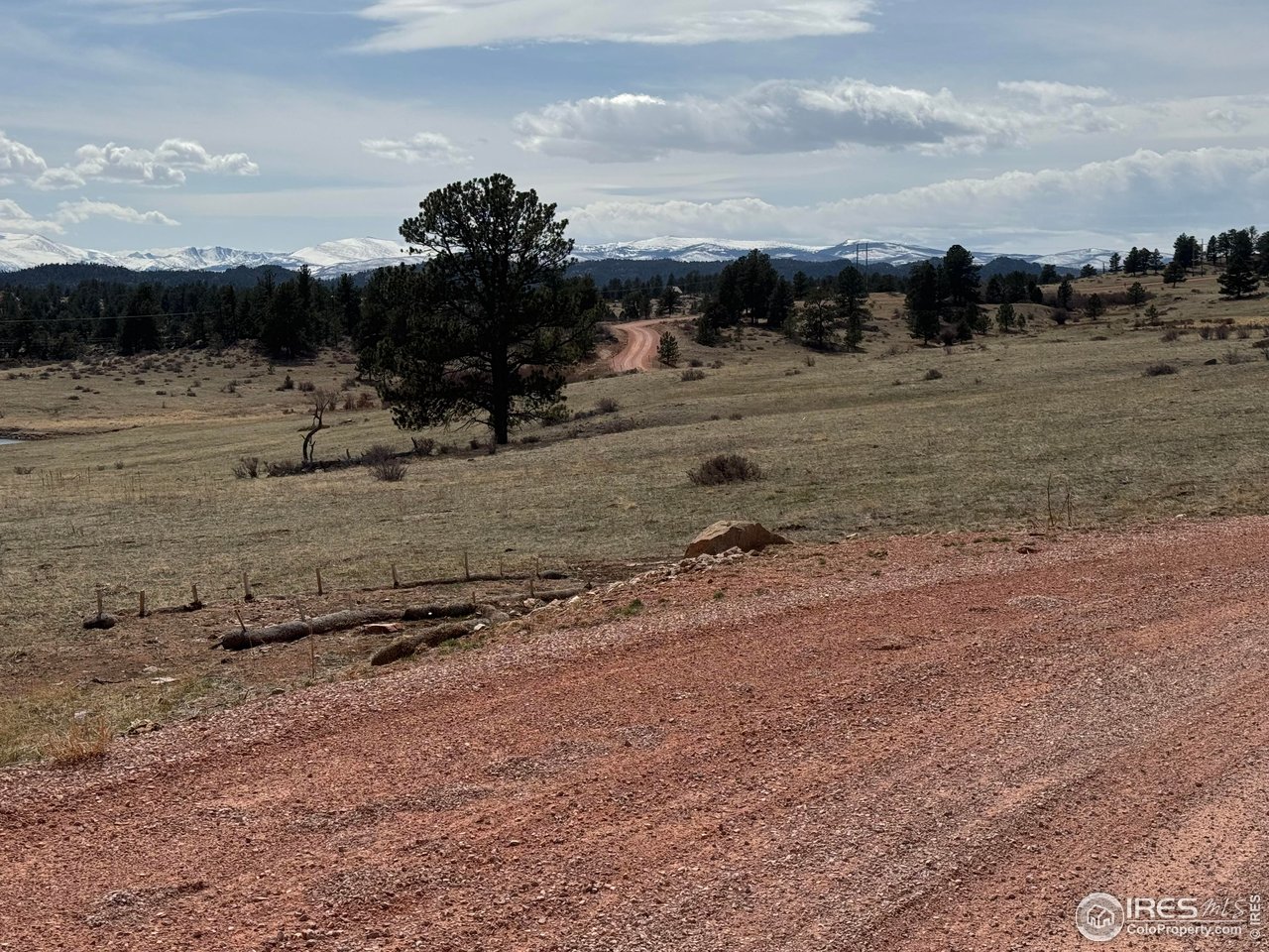 Shoshana Ranch Road Livermore, CO 80536 - Photo 15 of 16 a view of a dry yard with lots of trees