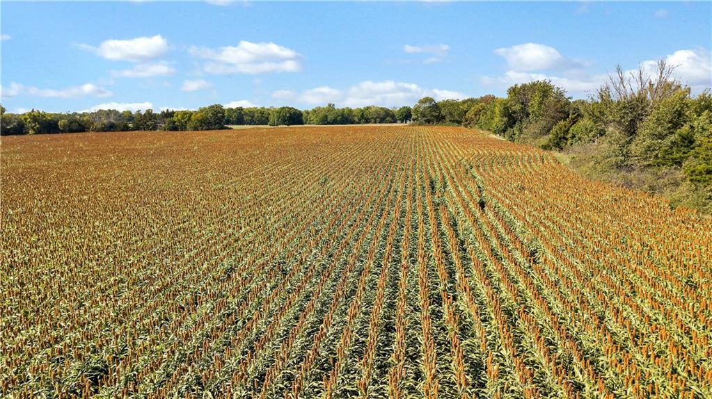 38701 West Evening Star Road Lane, KS 66042 - Photo 3 of 8