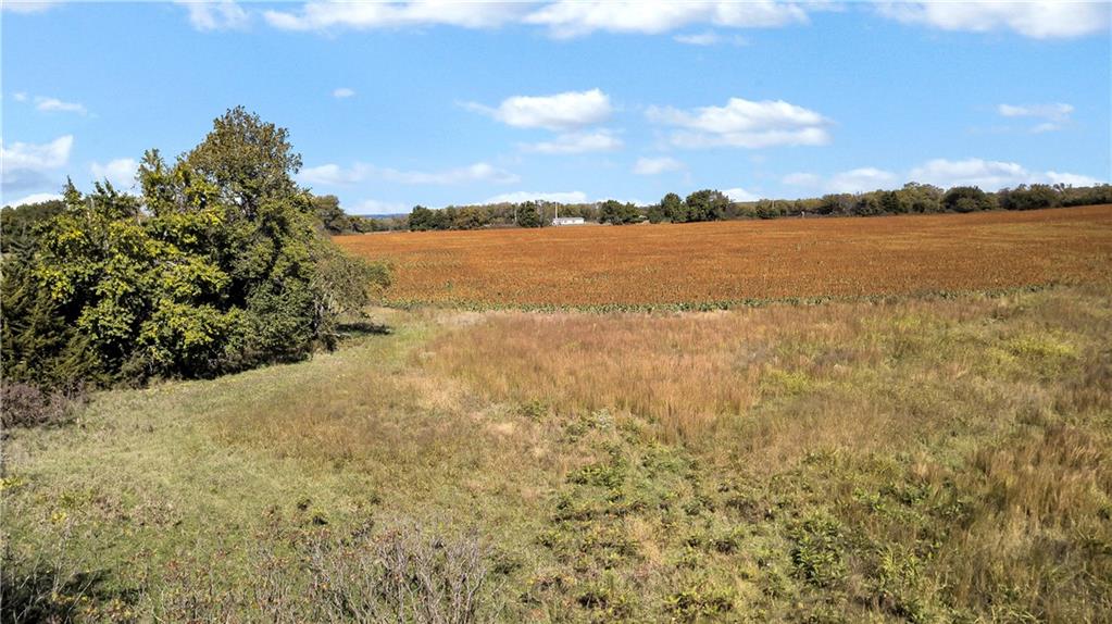 38701 West Evening Star Road Lane, KS 66042 - Photo 6 of 8