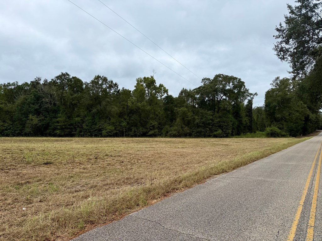 24-acres Mt Zion Road Gordon, AL 36343 - Photo 4 of 13