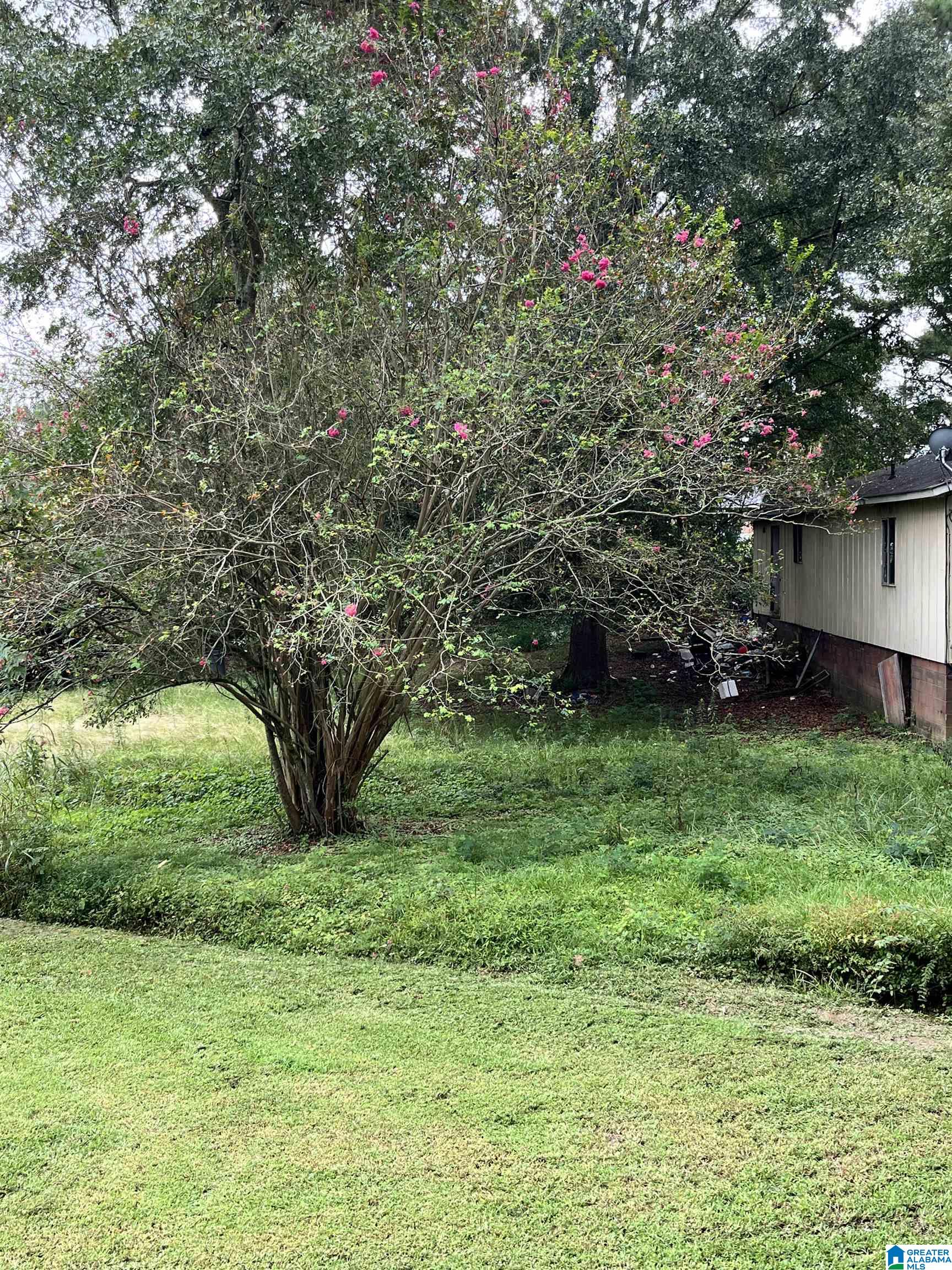 37308 Highway 79 Cleveland, AL 35049 - Photo 3 of 15