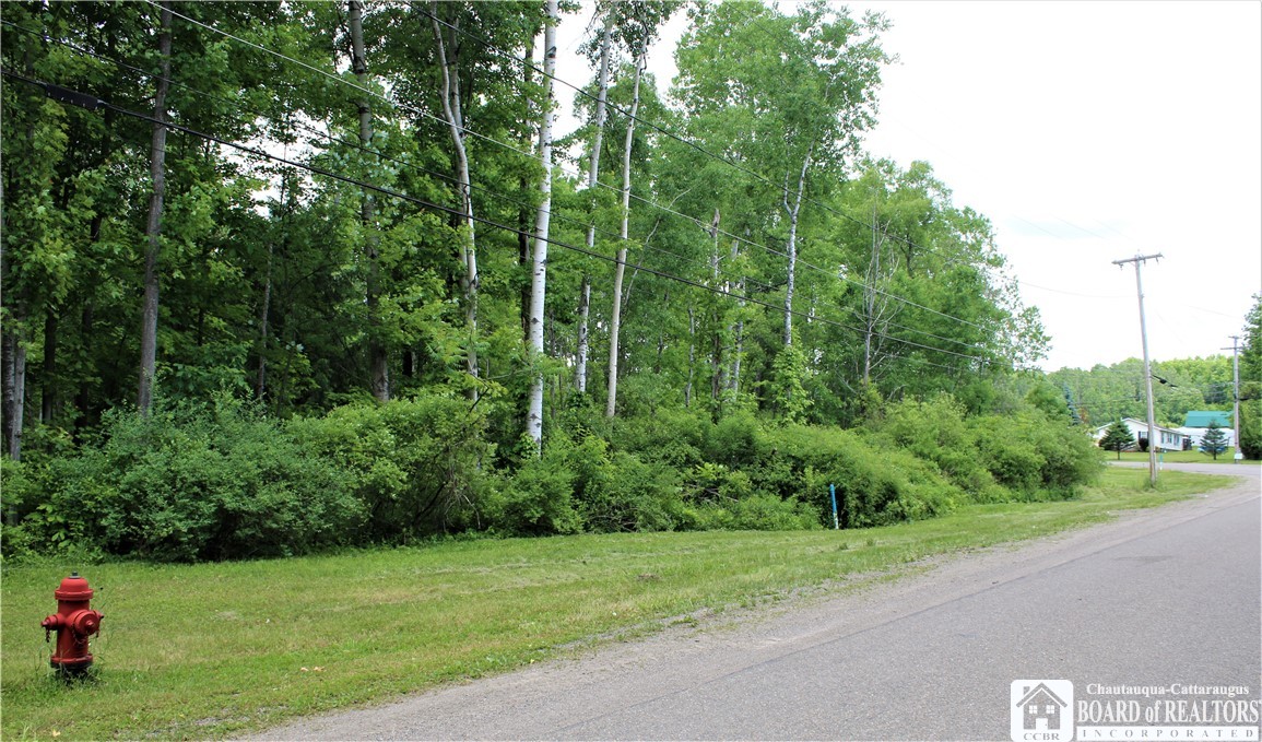 0 Warren Road Frewsburg, NY 14738 - Photo 1 of 1