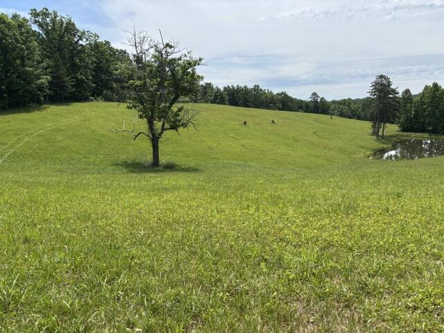 1398 Begley Road South McKee, KY 40447 - Photo 5 of 12 5