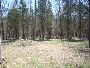 1566 Stonington Road Mitchell, IN 47446 - Photo 7 of 31 Gallery Image 7