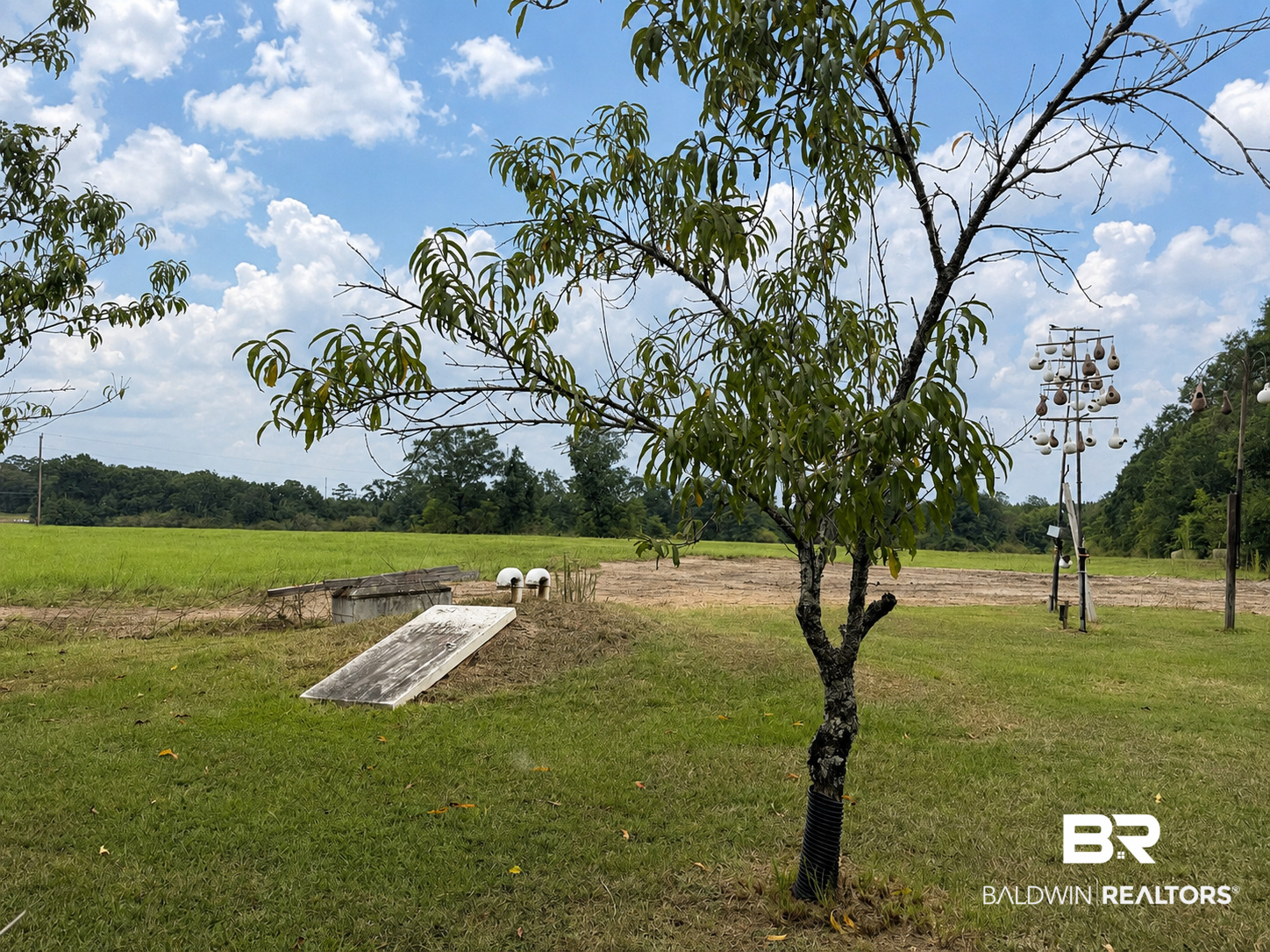 3133 Joe Reeves Road Castleberry, AL 36432 - Photo 22 of 23 Gallery Image 22