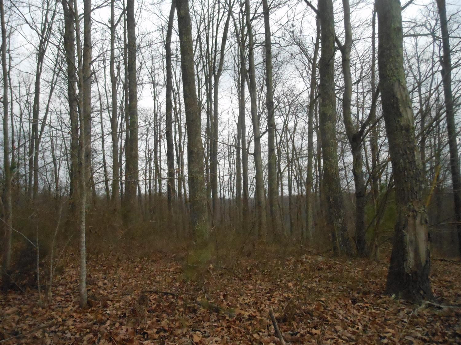 100 Amos Ridge Road Frenchburg, KY 40322 - Photo 8 of 11 Photo 8