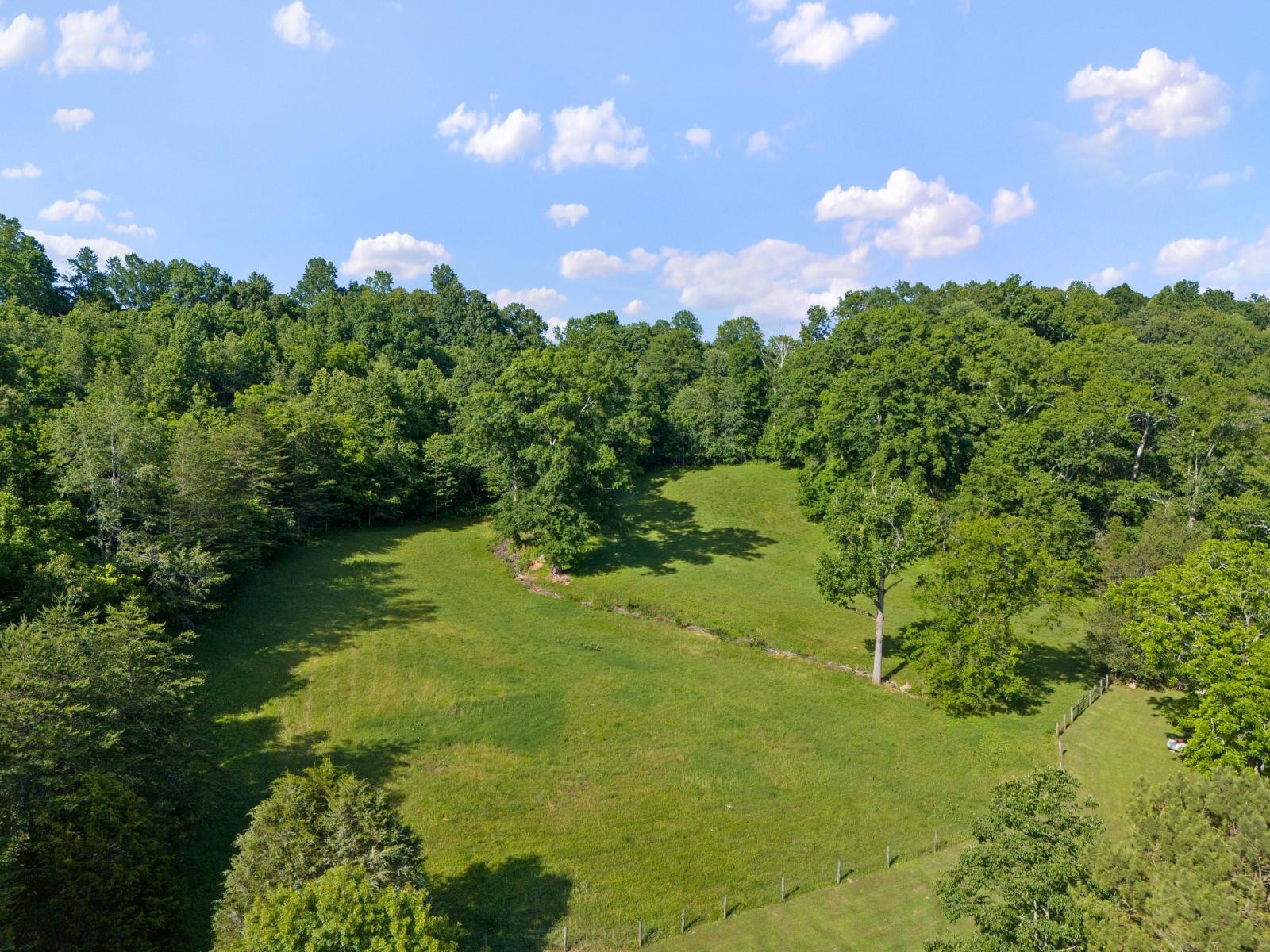 28 Spring Valley Road Taft, TN 38488 - Photo 51 of 55 a view of a garden