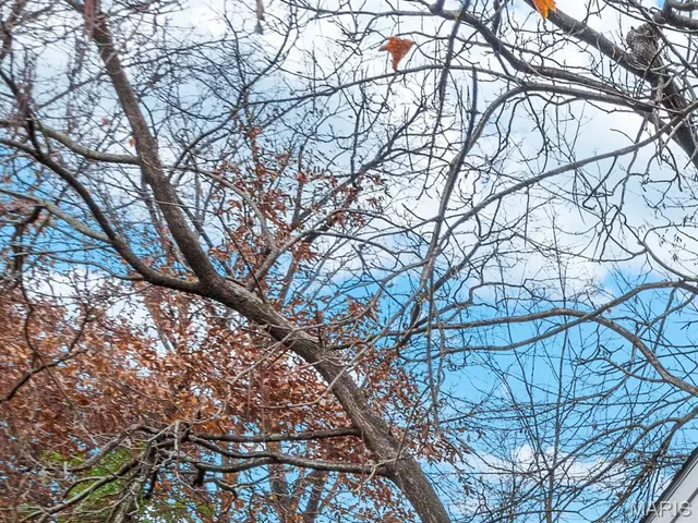 $285,000 | 22 North Iola Drive, St. Louis, MO 63119