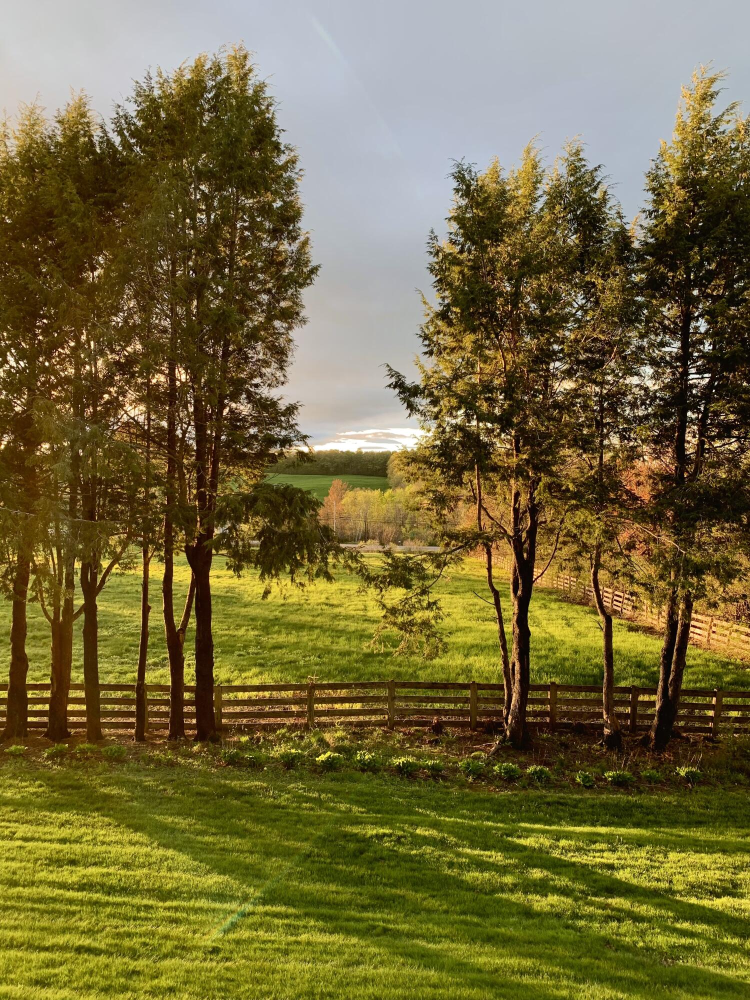 51 Flaggy Meadow Road Gorham, ME 04038 - Photo 51 of 51 Backyard (summer)