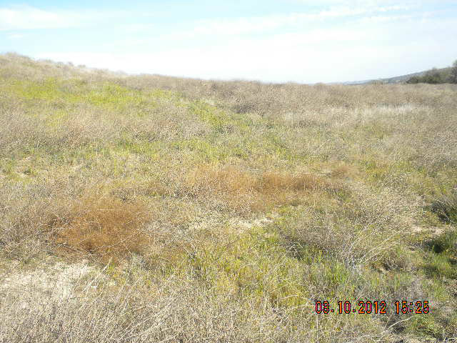 71285 Jolon Road Bradley, CA 93426 - Photo 13 of 16 Gallery Image 13