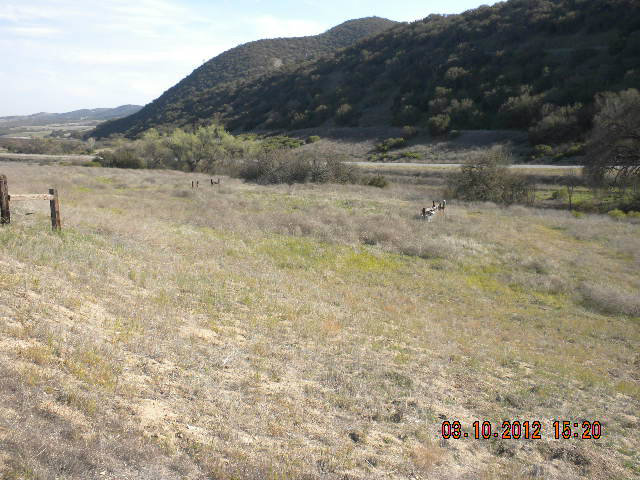 71285 Jolon Road Bradley, CA 93426 - Photo 8 of 16 Gallery Image 8