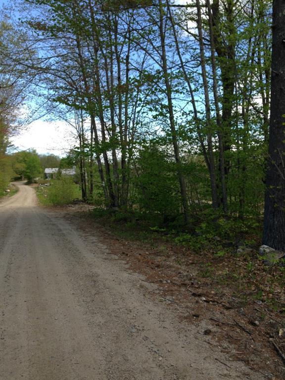 0 Mansion Road Hollis Center, ME 04042 - Photo 2 of 3 Lots of road frontage