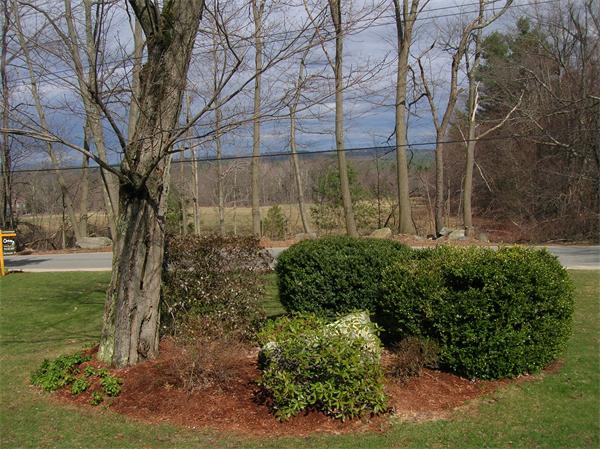 22 Esty Road Princeton, MA 01541 - Photo 18 of 25 a view of a garden