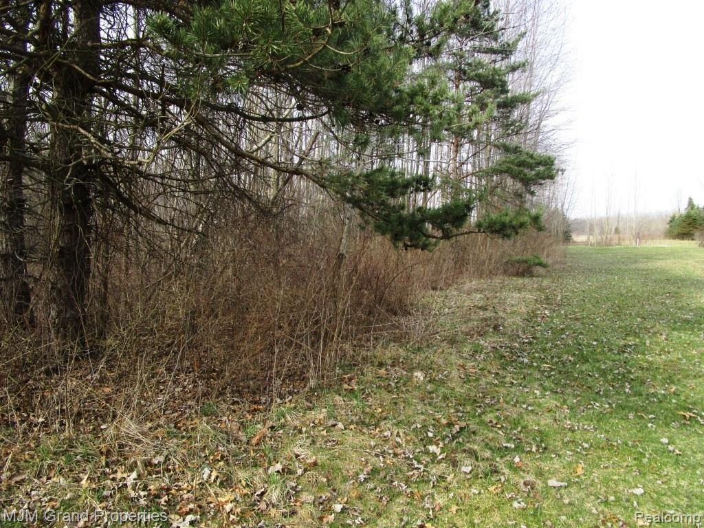 12310 Burns Road Carleton, MI 48117 - Photo 8 of 13 Property2.JPG