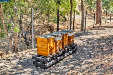 $3,998,000 | 127 Caminar Way, Walnut Creek, CA 94596