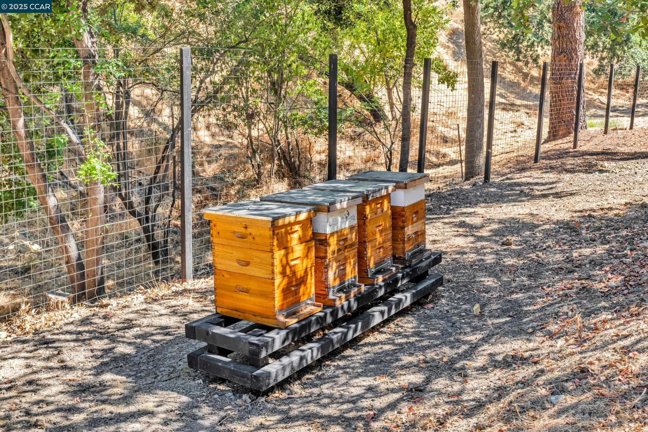 127 Caminar Way Walnut Creek, CA 94596 - Photo 46 of 60 a view of a pathway with a yard