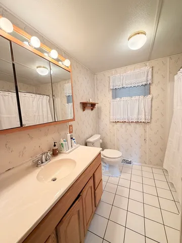 a bathroom with a sink a toilet and mirror