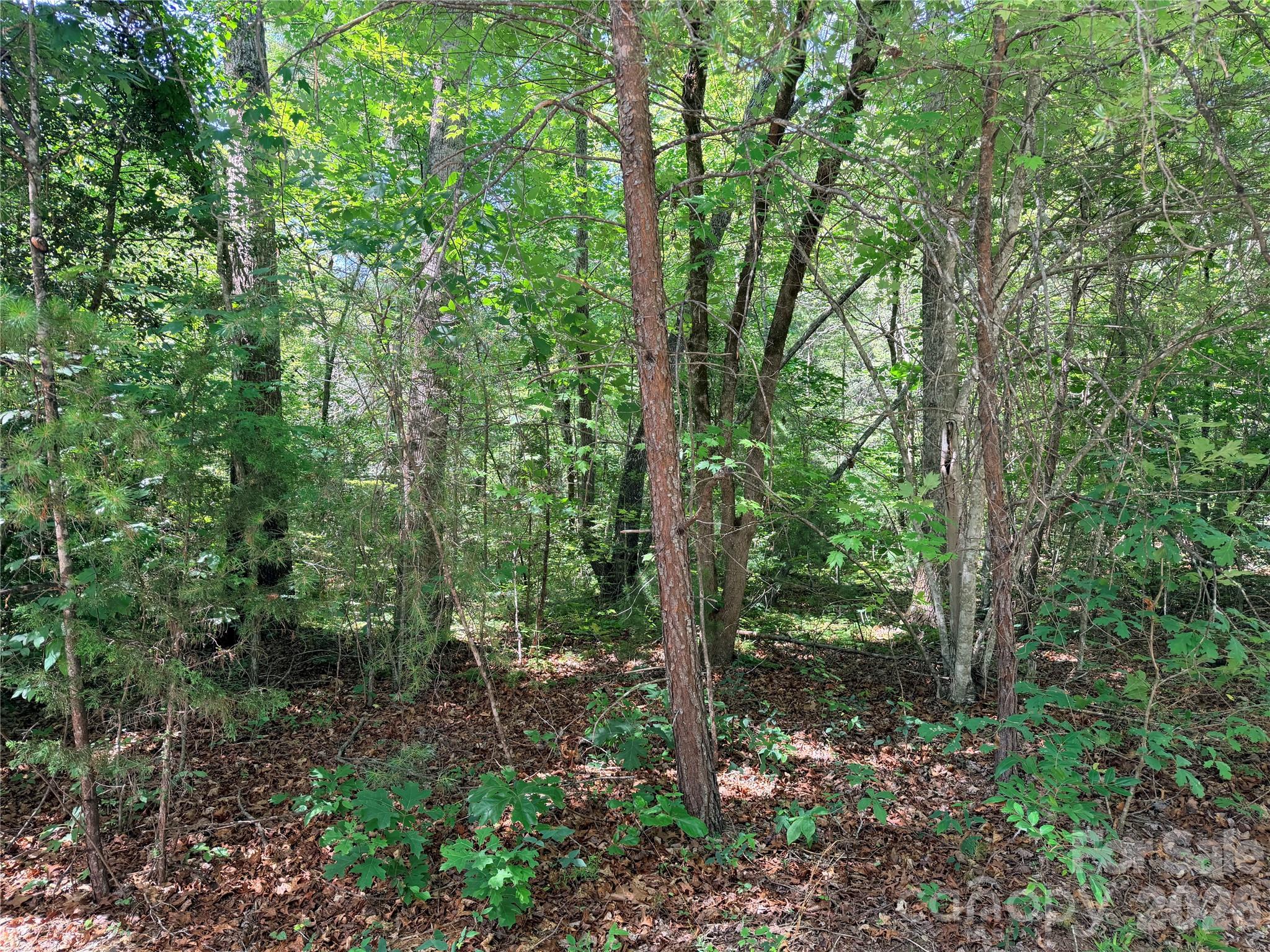 0 Grassy Knob Road, Unit 5 Mill Spring, NC 28756 - Photo 10 of 10