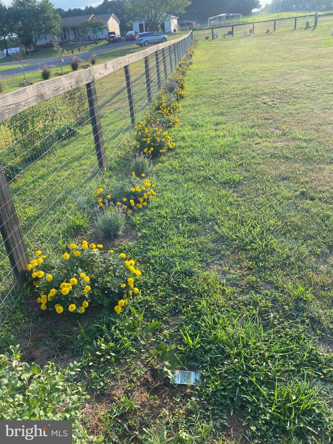 15604 Glen Ella Road Culpeper, VA 22701 - Photo 25 of 34 Vibrant blooms brighten a rustic fence line.