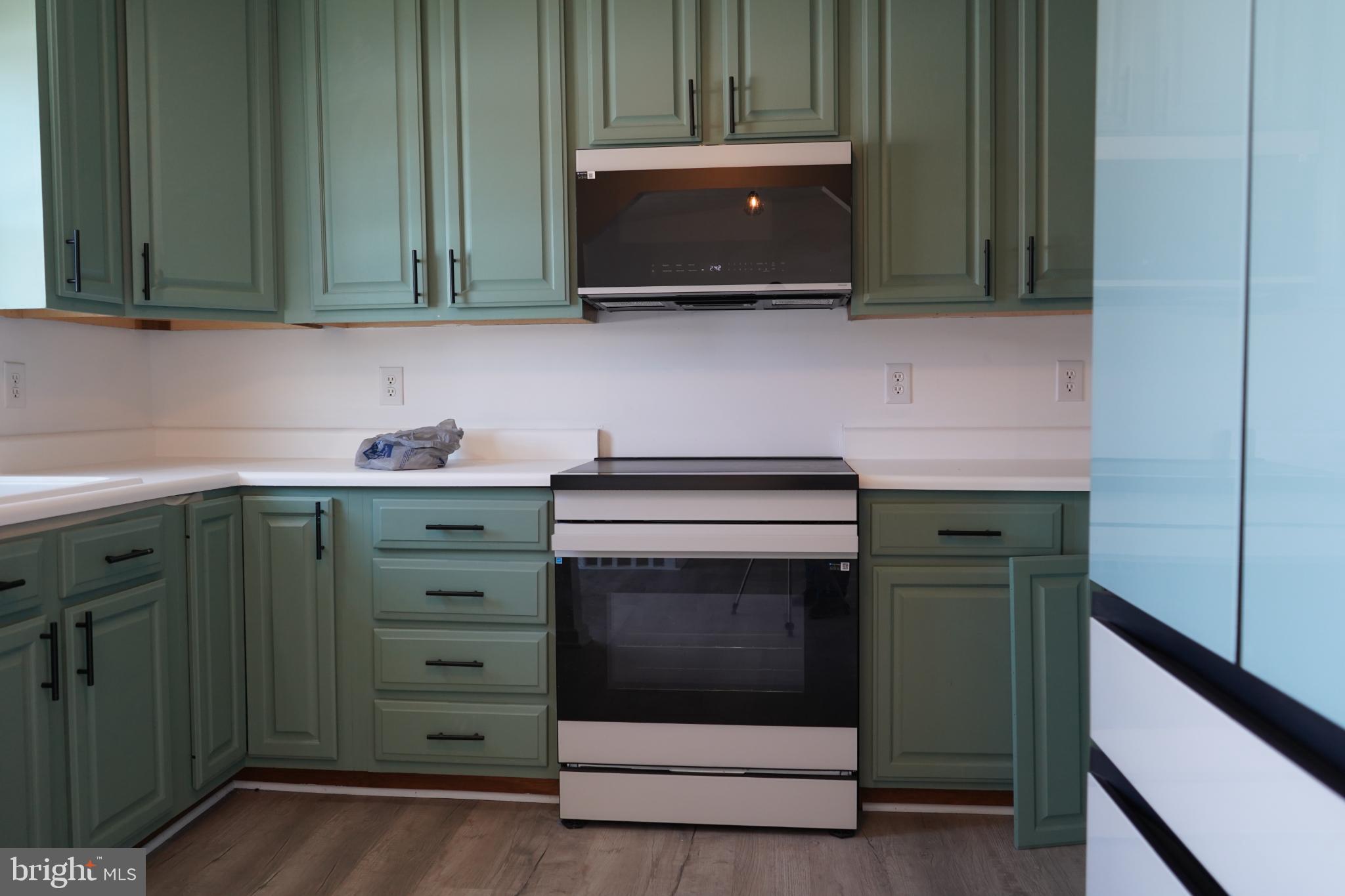15604 Glen Ella Road Culpeper, VA 22701 - Photo 8 of 34 Charming kitchen with modern green cabinetry.