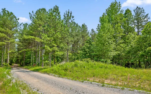 $480,000 | 2222 High Ground Road, Guild, TN 37340