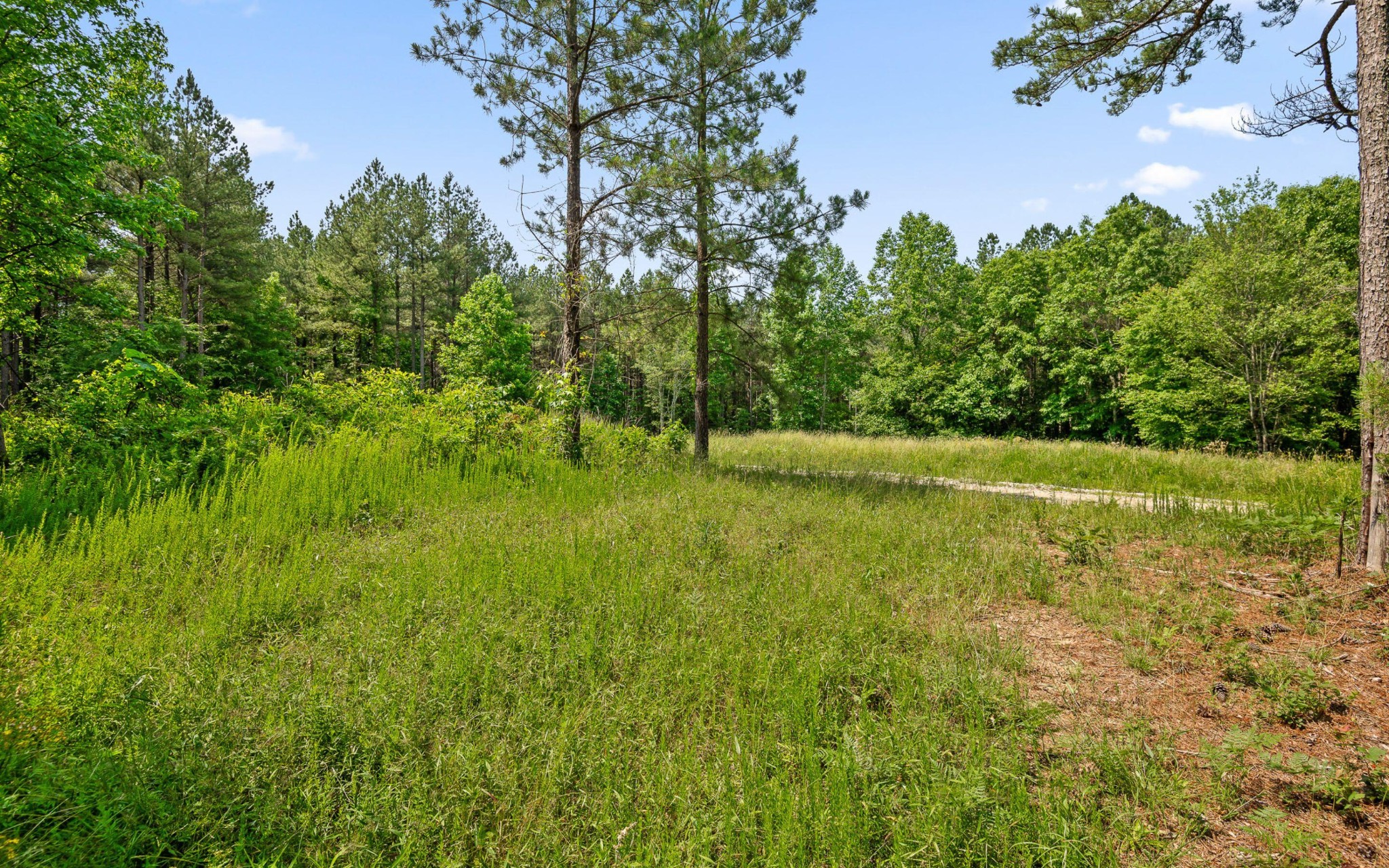 2222 High Ground Road Guild, TN 37340 - Photo 21 of 33 a view of outdoor space with deck and yard