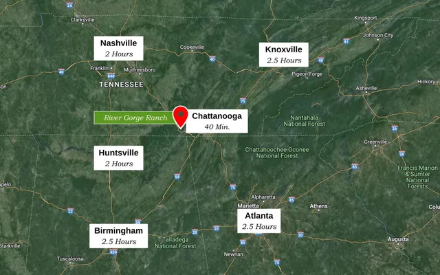 a view of a yard with a wooden fence