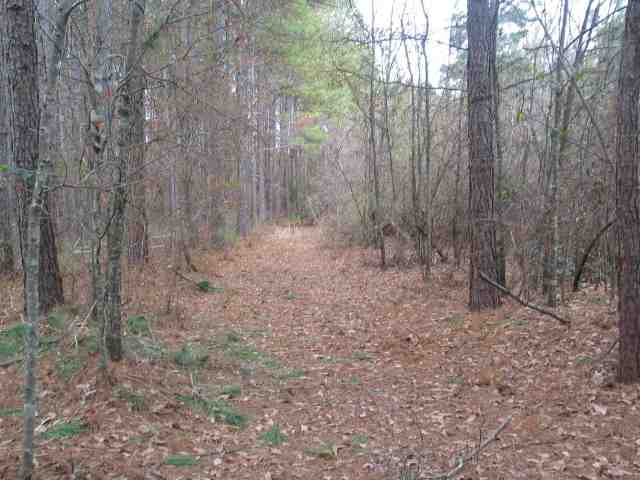 751 Cannon Bottom Road Belton, SC 29627 - Photo 3 of 9 Gallery Image 3