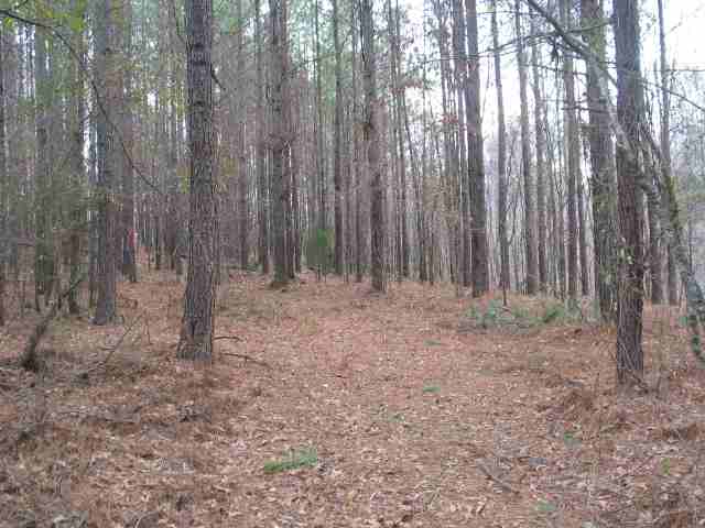 751 Cannon Bottom Road Belton, SC 29627 - Photo 4 of 9 Gallery Image 4