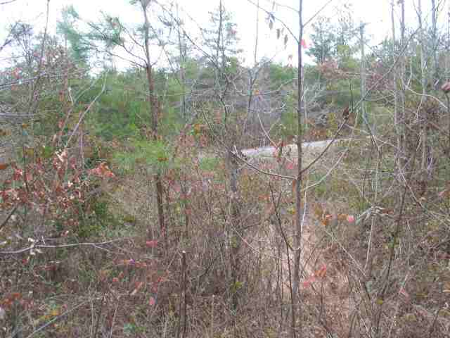 751 Cannon Bottom Road Belton, SC 29627 - Photo 5 of 9 Gallery Image 5