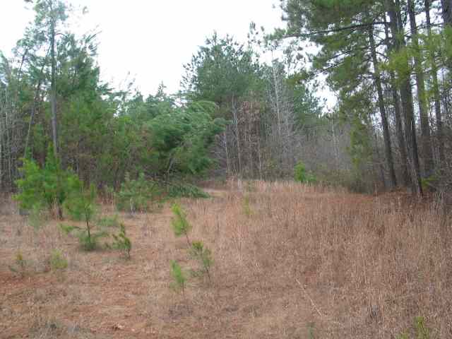 751 Cannon Bottom Road Belton, SC 29627 - Photo 7 of 9 Gallery Image 7