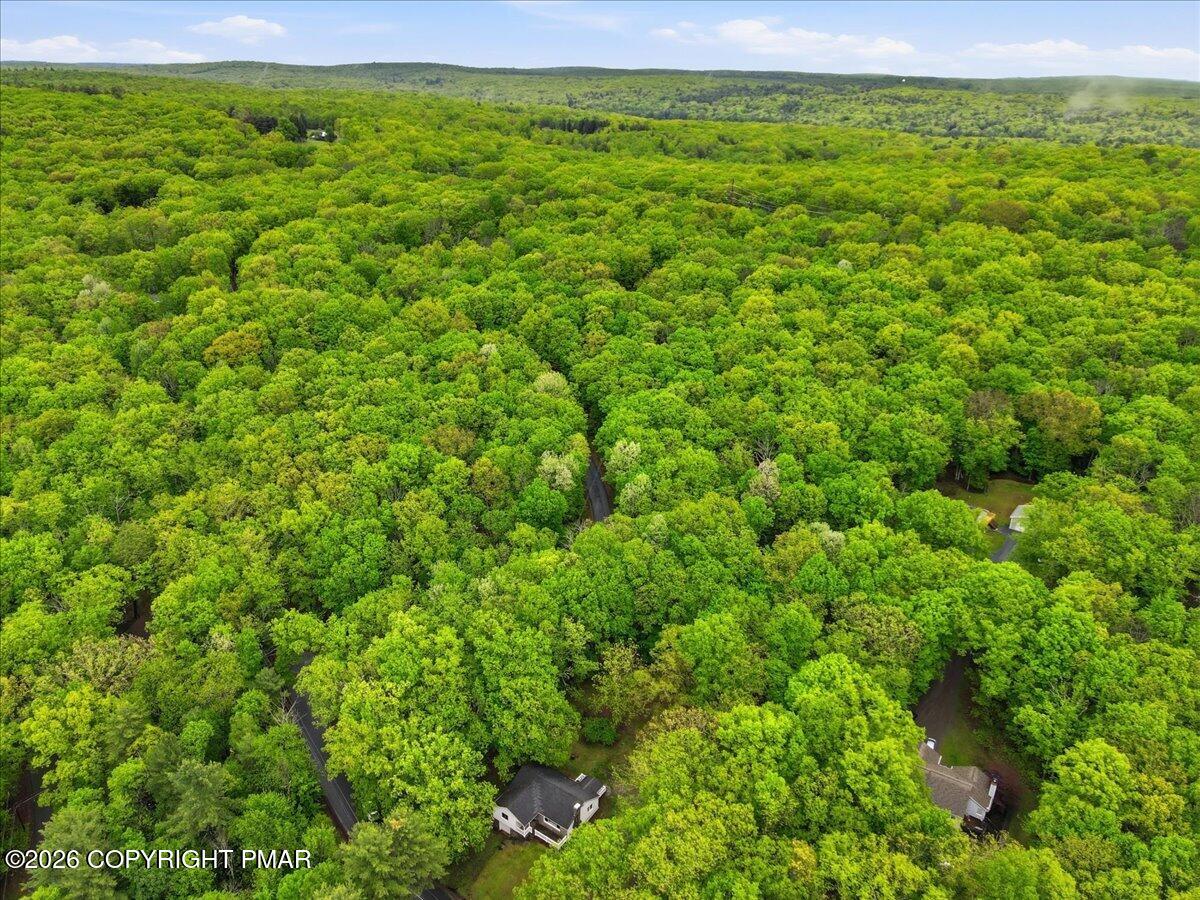 232 Garrity Road Hawley, PA 18428 - Photo 57 of 57 a view of a green field with lots of bushes