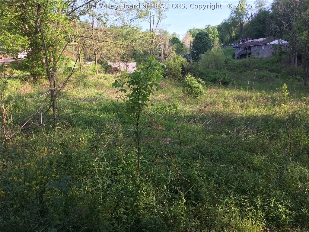 1054 Upper Gore Addition Road Tornado, WV 25202 - Photo 6 of 7 Gallery Image 6