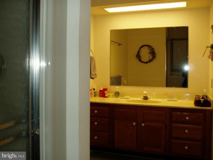 110 Pine Valley Road Elkton, MD 21921 - Photo 27 of 28 Bath (Master)