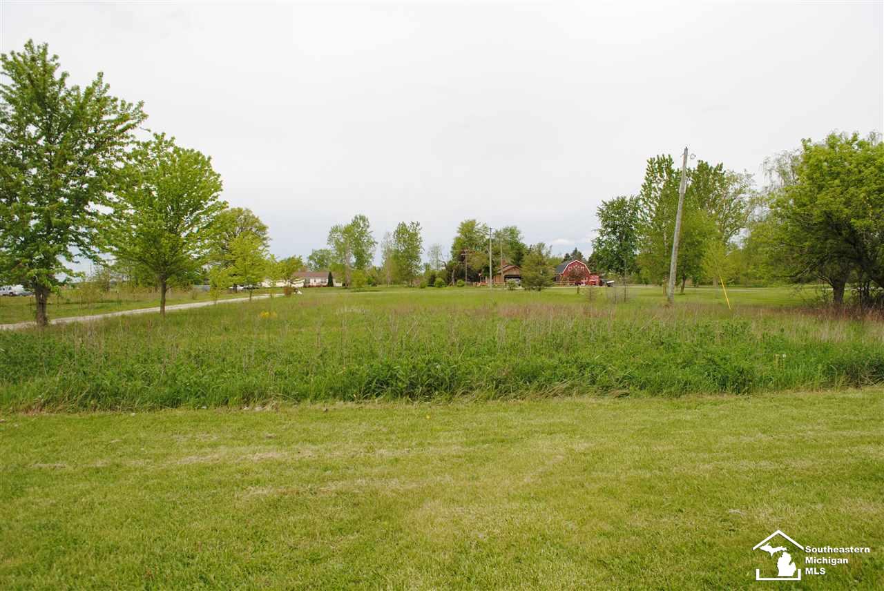 9756 Ferder Road Maybee, MI 48159 - Photo 21 of 28