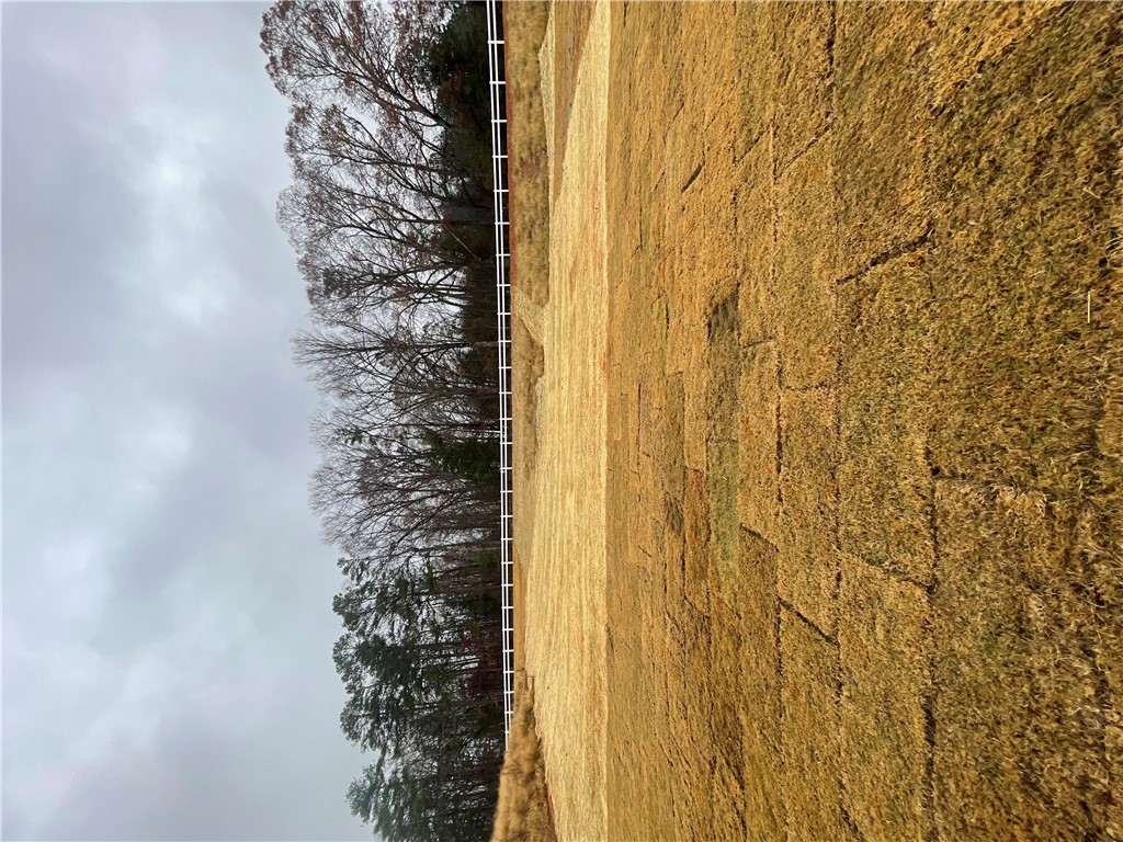 22 Halsey Street Central, SC 29630 - Photo 33 of 44