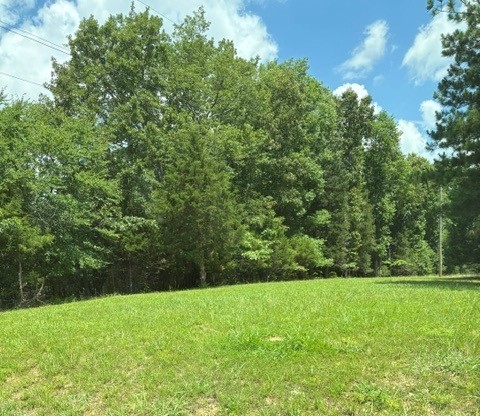 1260 Hillcrest Road Dickson, TN 37055 - Photo 4 of 20 Gallery Image 4